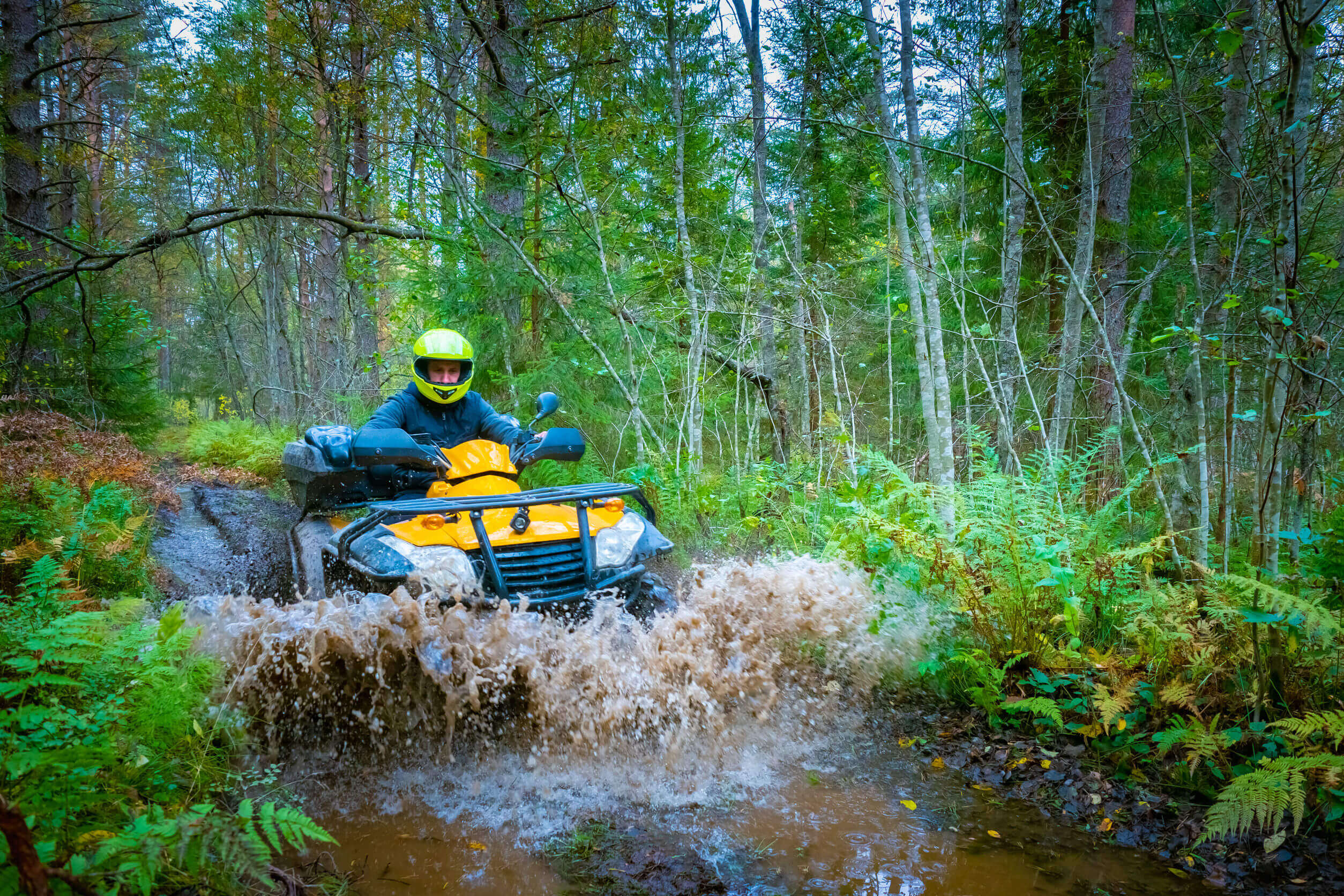 Immokalee, Collier County, FL ATV Insurance.1